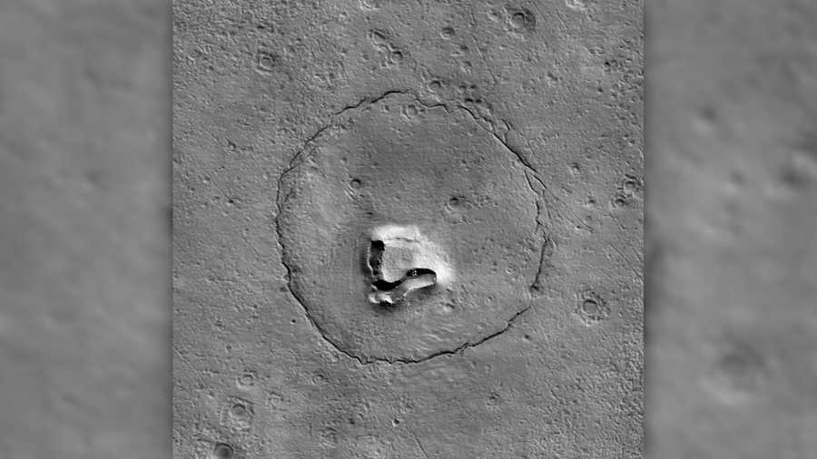 bear face on mars